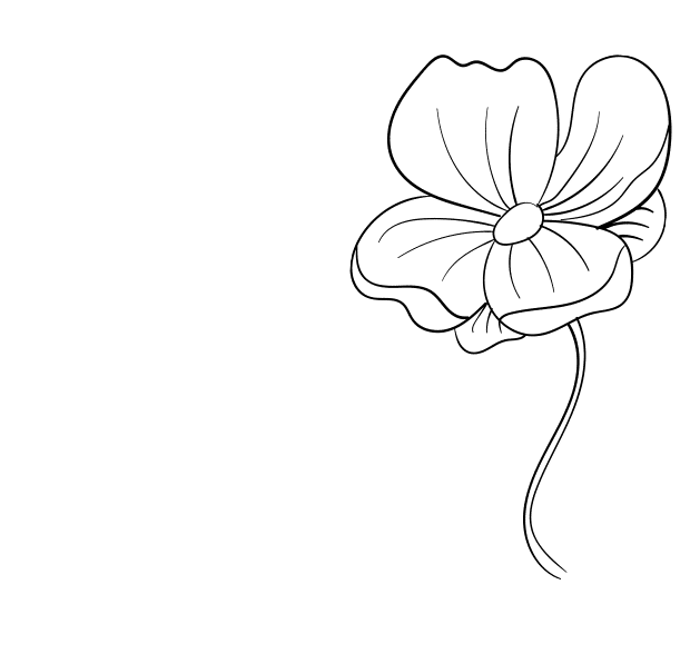 Outlined flower